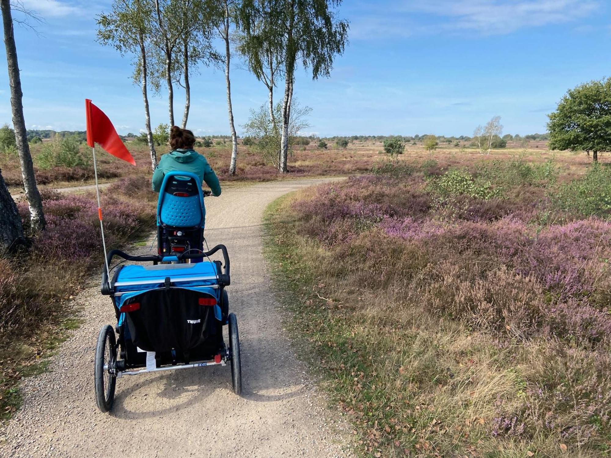 Vakantiehuis Vliegend Hert Veluwe Nunspeet Dış mekan fotoğraf