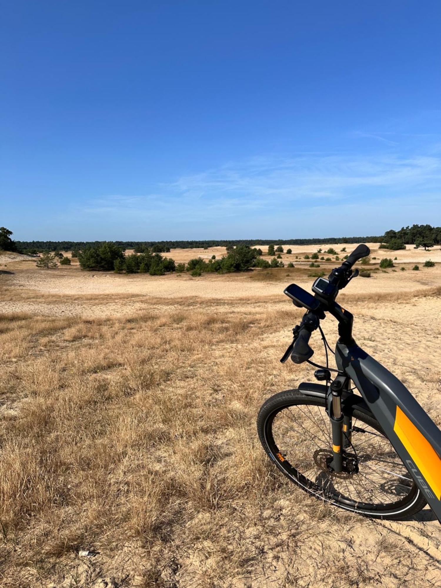 Vakantiehuis Vliegend Hert Veluwe Nunspeet Dış mekan fotoğraf